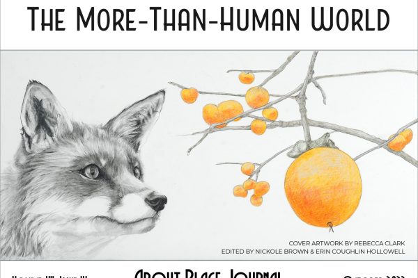 The More-Than-Human World, Volume VII, Issue IV, About Place Journal, October 2023 cover featuring a delicate, realistic drawing of a grayscale fox eyeing orange persimmons, isolated on a white background